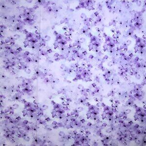 NWT Double Sided Silk Scarf 52"x52" Large Square Shawl Wrap 3401